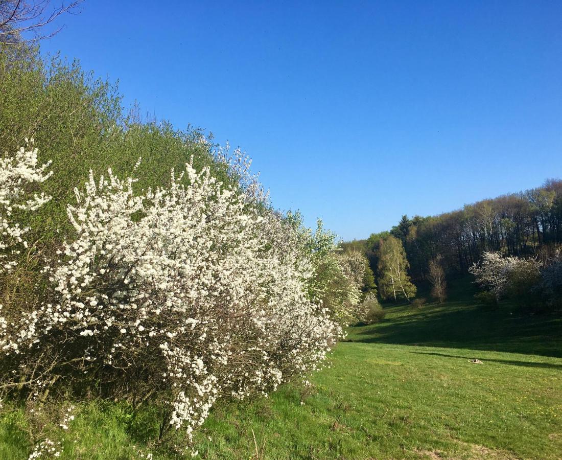 Hajovna Svahova Apartment Bolebor Bagian luar foto