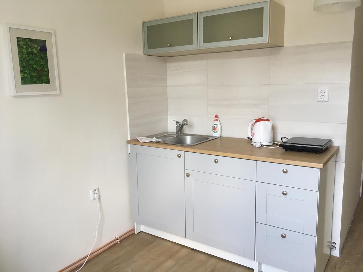 Hajovna Svahova Apartment Bolebor Bagian luar foto